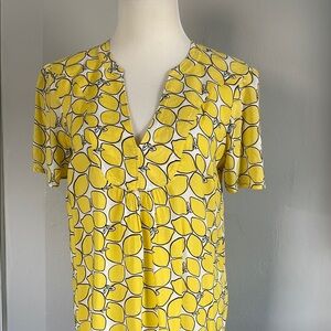 Anthropologie V-Neck Top Size 4